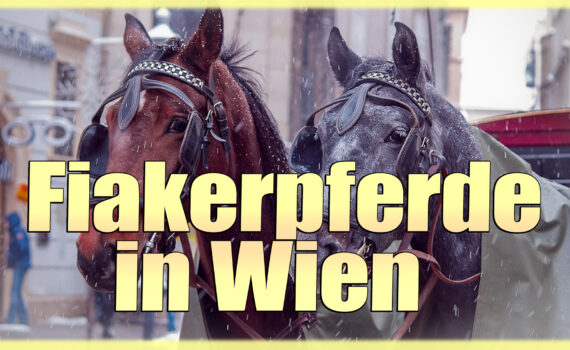 fiakerpferde